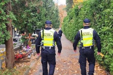 "Hieny cmentarne" szykują się do polowań. Strażnicy będą je tropić