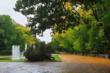 Ostatni weekend października. Jaka będzie pogoda w Białymstoku?