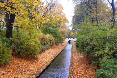 Jaki będzie listopad? Długoterminowa prognoza pogody dla Białegostoku