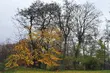 Półmetek tygodnia. Odczuwalna temperatura będzie dwukrotnie niższa