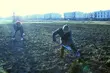 Przyjdź i zasadź drzewko dla swojego dziecka. Radni KO już to zrobili