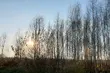 Prognoza na weekend. Jaka będzie pogoda w Białymstoku?