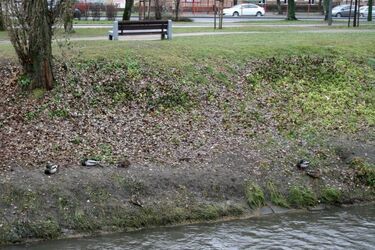 Przed nami pochmurna i mglista środa. Ile będzie stopni?