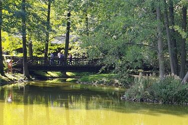 Kładka i pomost widokowy w Akcencie ZOO przejdą metamorfozę