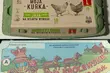 GIS ostrzega. Wykryto salmonellę na skorupach popularnych jaj