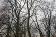 Środa już bez śniegu. Ile będzie stopni?