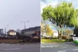 Wióry poleciały! Rzeź drzew koło dworca kolejowego