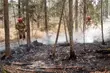 Migranci rozpalili ognisko w rezerwacie przyrody