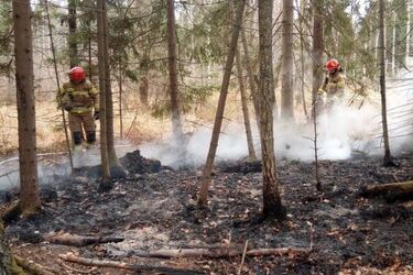 Migranci rozpalili ognisko w rezerwacie przyrody