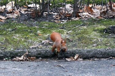 Zimno i pochmurno. Tak zapowiada się piątek