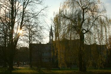 Pierwszy weekend grudnia. Jaka będzie pogoda?