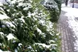 Dawno nie było tak zimno. W nocy temperatura spadnie do -14°C