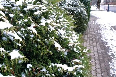 Dawno nie było tak zimno. W nocy temperatura spadnie do -14°C
