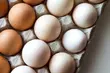 Sanepid ostrzega przed salmonellą! Wykryto ją w jajkach