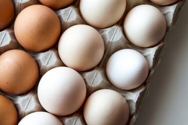Sanepid ostrzega przed salmonellą! Wykryto ją w jajkach