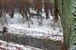 Mróz nie odpuszcza. Środa na minusie