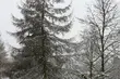 Piątek już znacznie cieplejszy. Tempertura na plusie