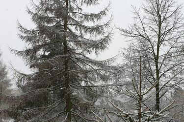 Piątek już znacznie cieplejszy. Tempertura na plusie