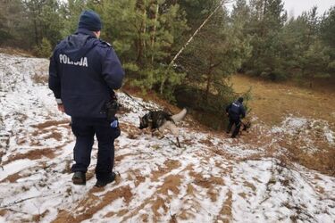 Kilkudziesięciu policjantów szukało 31-latka
