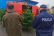 Nielegalna wycinka choinek. Policja kontroluje sprzedawane drzewka