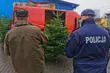 Nielegalna wycinka choinek. Policja kontroluje sprzedawane drzewka