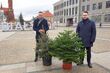 Prawdziwa w zamian za sztuczną. Miasto będzie rozdawać choinki dla białostoczan