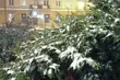 Znaczny spadek temperatury. W nocy będzie nawet -10°C
