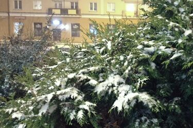 Znaczny spadek temperatury. W nocy będzie nawet -10°C