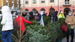 Białostoczanie wymienili sztuczne choinki na żywe [ZDJĘCIA]