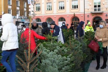 Białostoczanie wymienili sztuczne choinki na żywe [ZDJĘCIA]
