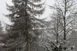 Półmetek tygodnia. Będzie mroźno, ale za to sucho