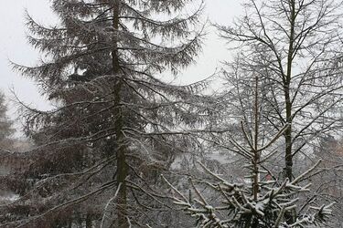 Półmetek tygodnia. Będzie mroźno, ale za to sucho