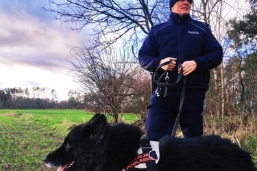 Podczas niskich temperatur nie zapominajmy o zwierzętach