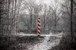 Zatrzymano kolejną osobę, pomagającą nielegalnie przekroczyć granicę