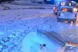 Kulig bez wyobraźni. 3 osoby, w tym 9-letnia dziewczynka, w szpitalu