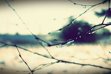 Wtorek będzie pochmurny i dość mroźny