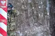 Migranci na widok polskich patroli wycofują się. Nikt nie próbował przekroczyć granicy