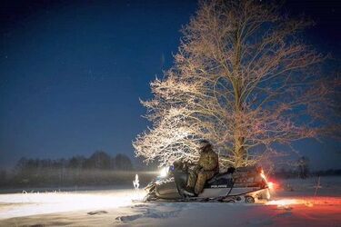 Sytuacja na granicy. W ręce policji wpadł kurier przewożący Syryjczyków