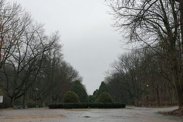 Pierwszy poniedziałek stycznia - jaka będzie pogoda?