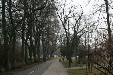 Kolejny mokry dzień. Warto zaopatrzyć się w parasol
