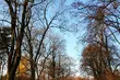 Przed nami długi weekend - jakiej pogody możemy się spodziewać?