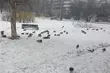 Mroźny początek tygodnia. Ile będzie stopni?