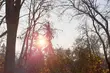 Przed nami mroźny, ale za to słoneczny dzień