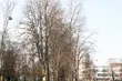Półmetek tygodnia. Silny mróz nie odpuści