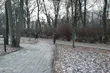 Gołoledź atakuje! 