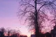 Na niebie pojawi się Pełnia Wilczego Księżyca