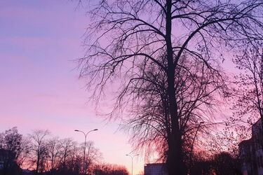 Na niebie pojawi się Pełnia Wilczego Księżyca