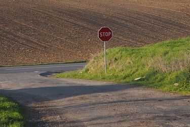 Zignorowała znak STOP, doszło do zderzenia - 2 osoby są ranne
