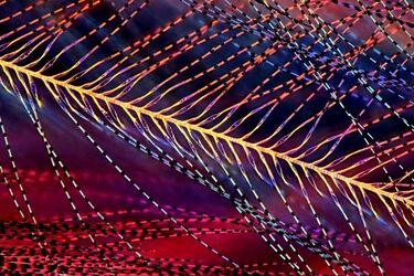 Podróż przez mikroświaty - wystawa i spotkanie z autorem Markiem Misiem