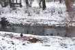 Może być ślisko. IMGW ostrzega przed oblodzeniem